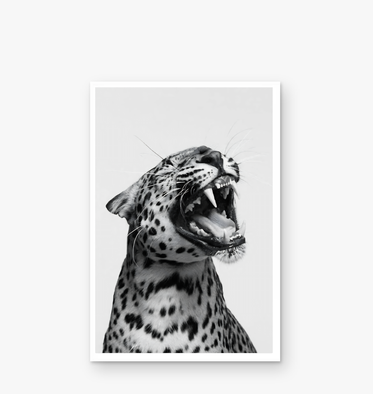 Leopard Unframed