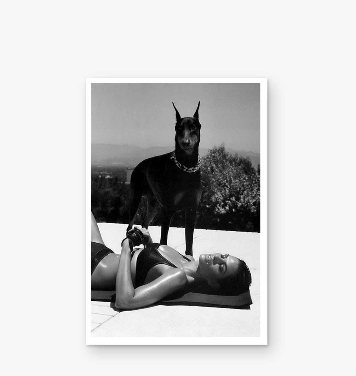 Doberman