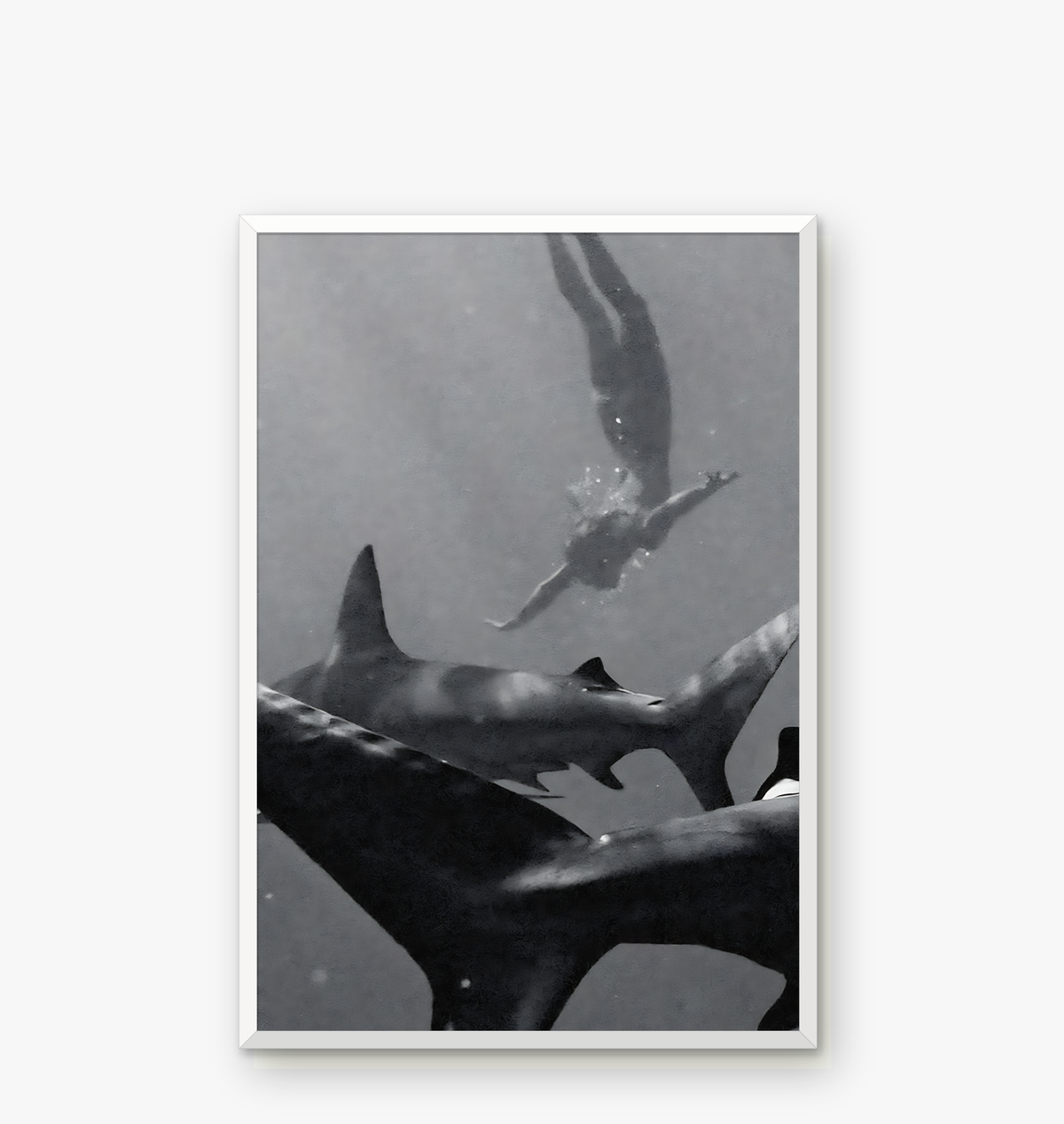 Swimming With Sharks